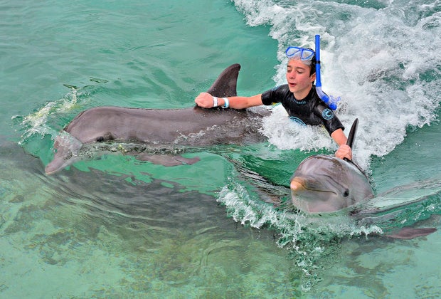 Atlantis swimming with dolphins