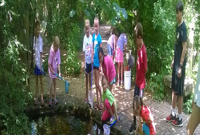 Image courtesy of Houston Audubon Society