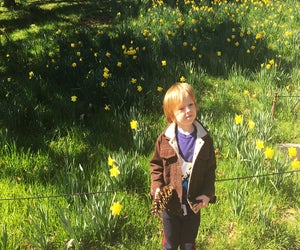 Spring may be the most colorful season at the Brooklyn Botanic Garden, but it's worth a visit anytime of the year. 