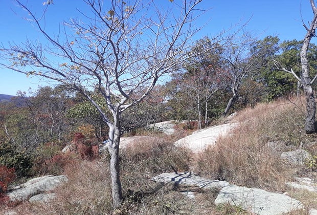Bear Mountain State Park Westchester winter walks