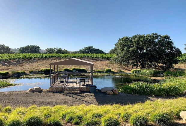 Family-Friendly Vineyards and Wineries Near Los Angeles: Beckman Vineyards