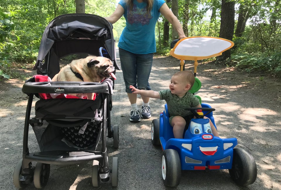 Both babies and dogs love stroller walks for some fresh air. Photo courtesy of Gina Massaro for Mommy Poppins