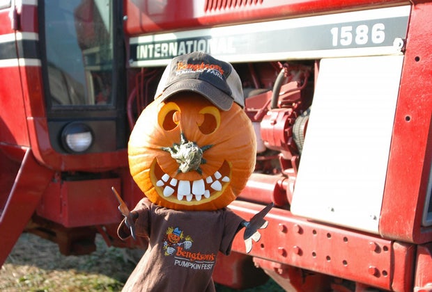 Best Pumpkin Patches Near Chicago