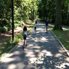 Pelham Bay Park's shady paths are great for scooting, biking, walking, or running. 