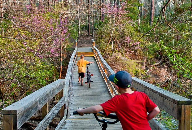 The Piney Woods Boardwalk Trail at Lake Livingston State Park.