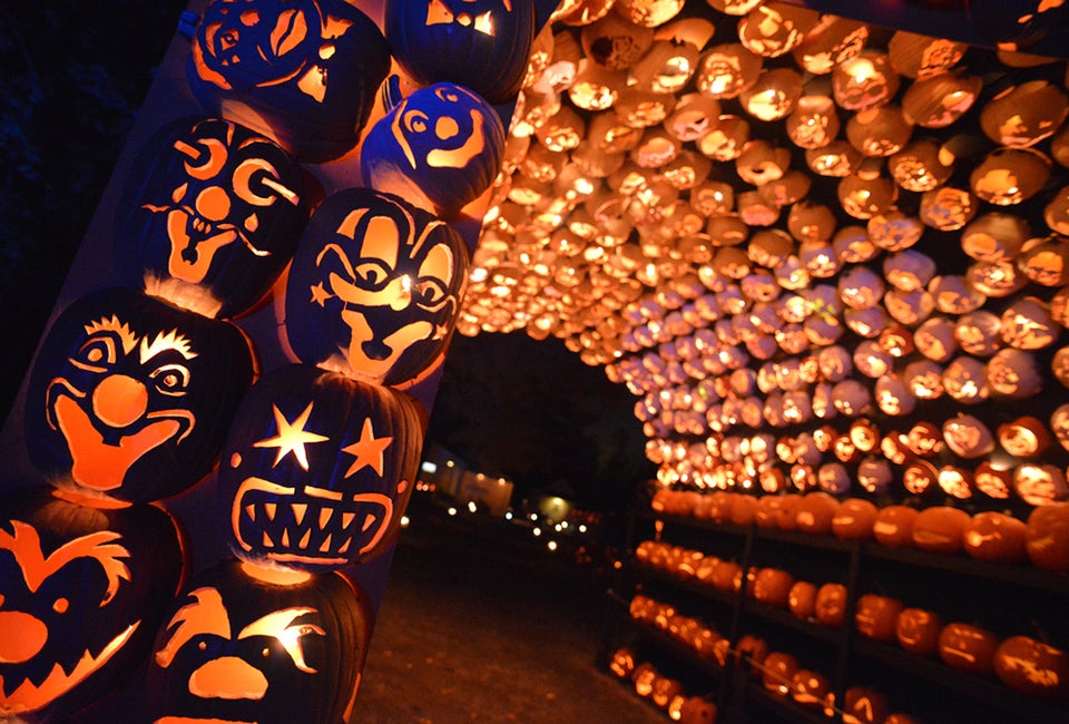 Photo courtesy of the venue