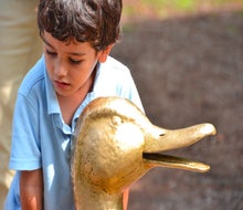 Make way for the top spring fairs and festivals in Boston for 2025! Duckling Day at the Boston Common Garden. Photo by K. Jarrett via Flickr 2.0