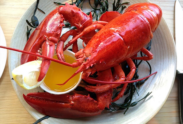 Ultimate Massachusetts Bucket List Legal Seafoods Lobster dinner