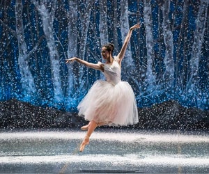 The Nutcracker and its Sugar Plum Fairy is back live. Photo courtesy of the Boston Ballet