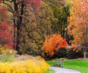 The paths are perfect for little hikers  at the New York Botanical Garden.