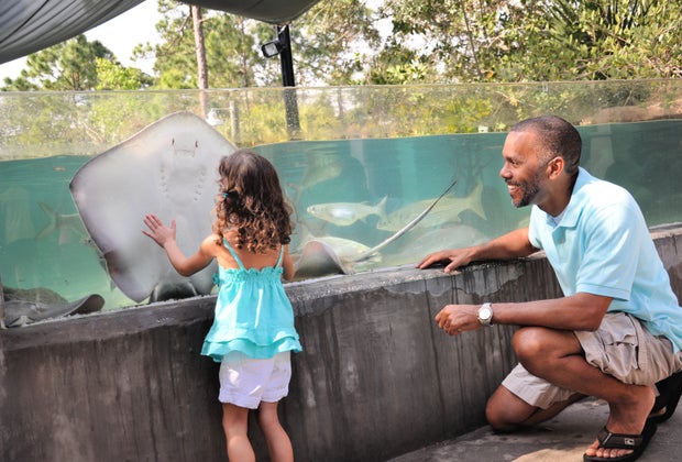 Brevard Zoo Best Zoos, Aquariums, and Animal Encounters in Central Florida