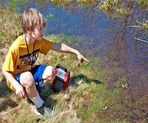 Broadmoor Wildlife Sanctuary in Natick. Photo courtesy of Mass Audubon