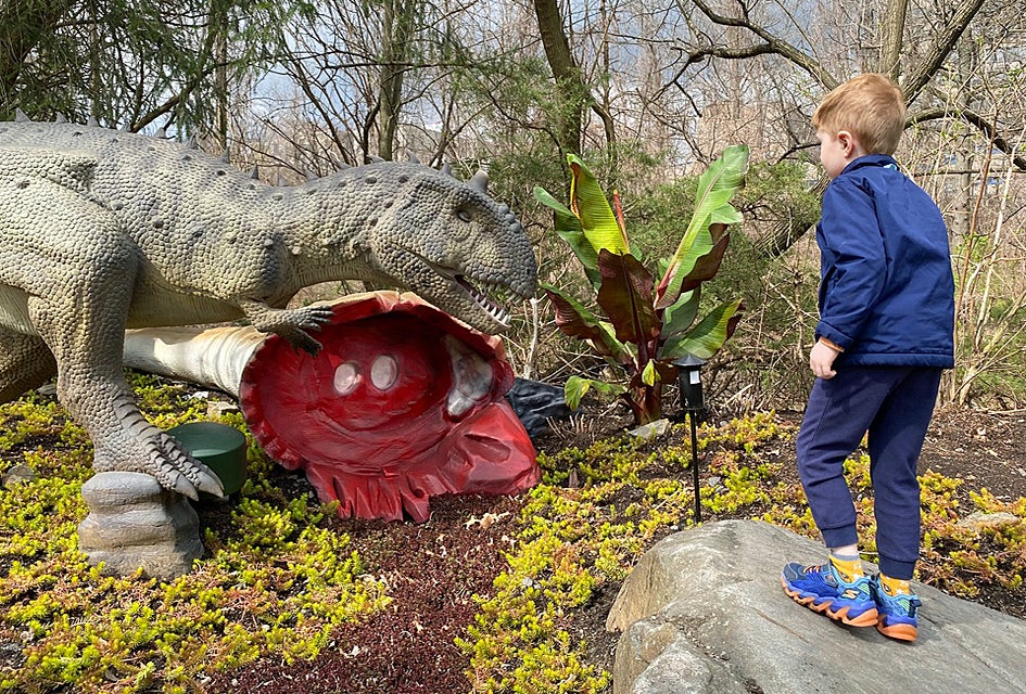 The Bronx Zoo's Dinosaur Safari presents prehistoric beasts in life-like scenes on a 1/4-mile walk-through trail. 