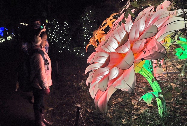 Girls looking at Forest of Color flowers at Bronx Zoo Holiday Lights