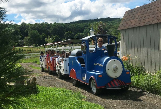 mini train at Brookhollow Barnyard