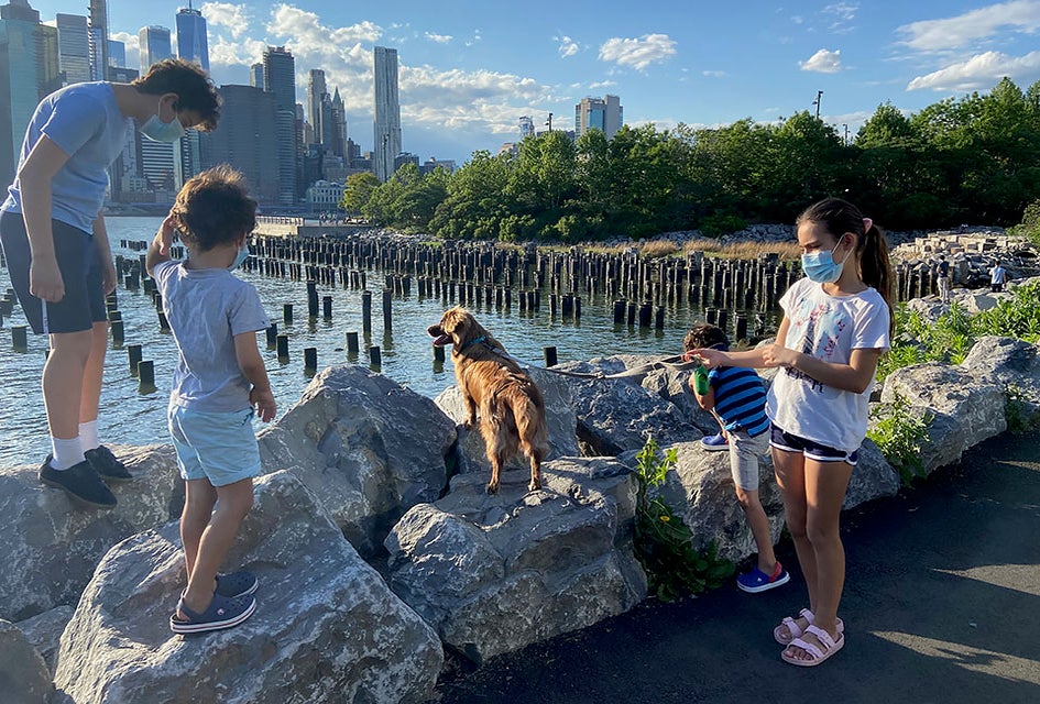 Brooklyn Heights is well-loved by local families for its abundance of green space, kid-friendly eats, and historic charm. 