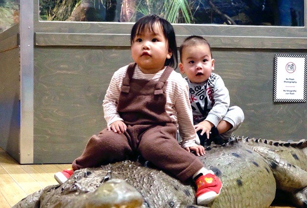 Best things to do in NYC with babies: Brooklyn Children's Museum