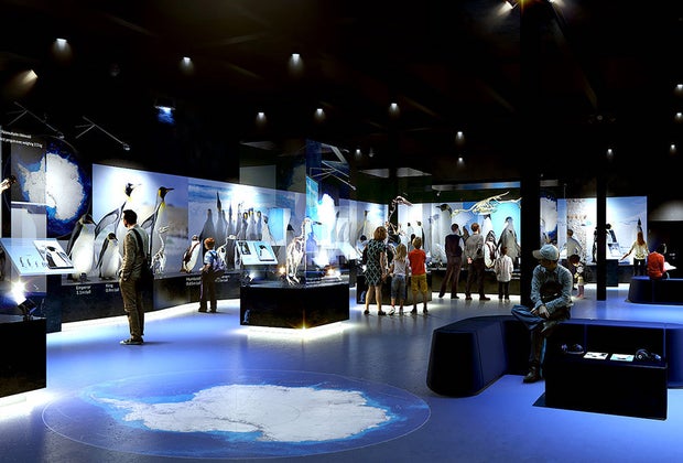 Image of New Bruce Science Wing at the Bruce Museum, Greenwich CT