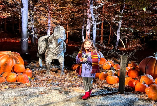 Harry Potter: A Forbidden Forest Experience: Buckbeak