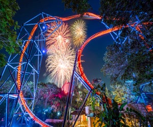 Summer's here at Busch Gardens Summer Nights. Photo courtesy of Busch Gardens 