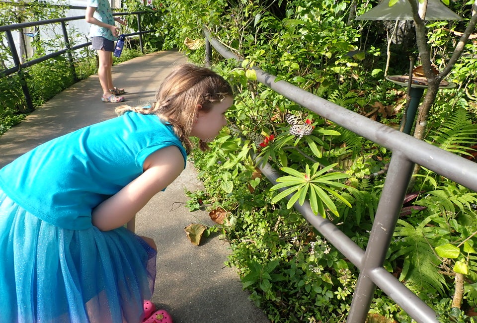 Photo by Jackie Jones