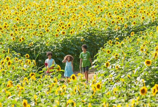 Buttonwood Farm Family Entertainment in Eastern Connecticut