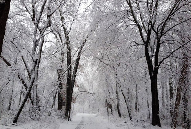 snow and cross country skiing at Caleb Smith State Park Preserve