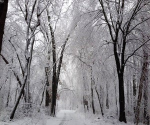 Caleb Smith State Park is a scenic backdrop for a cross-country skiing outing. Photo courtesy of NYS Parks 