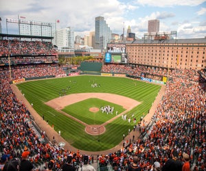 Watch the Baltimore Orioles play at Camden Yards. Photo courtesy the baseball team