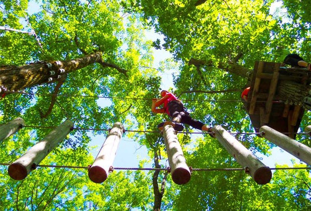 Camelback Mountain Adventures TreeTop Course.
