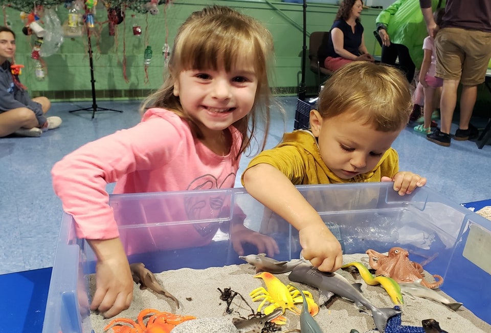 Visit the Cape Cod Children's Museum for a variety of hands-on exhibits for kids. Photo courtesy of the museum's Facebook page