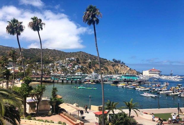 Road Trips from Los Angeles for Families: Catalina Island