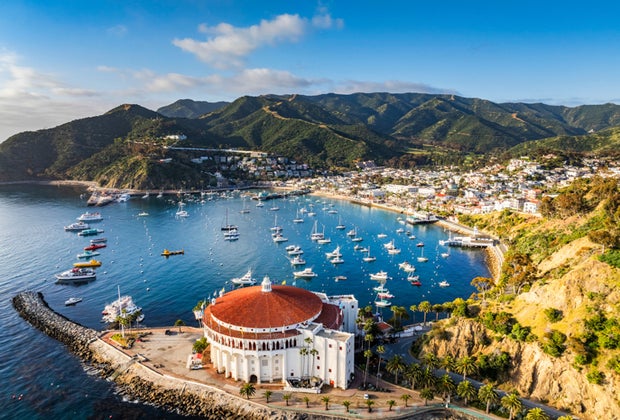 LA's Epic Summer Bucket List: 50 Things to Do in LA This Summer Catalina Island