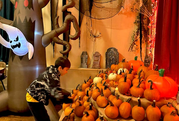 The Cauldron pumpkin patch: Picking the perfect pumpkin