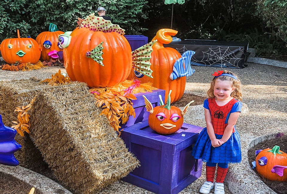SeaWorld Orlando's Halloween Spooktacular entertains kids until November 2, 2025. Photo by author