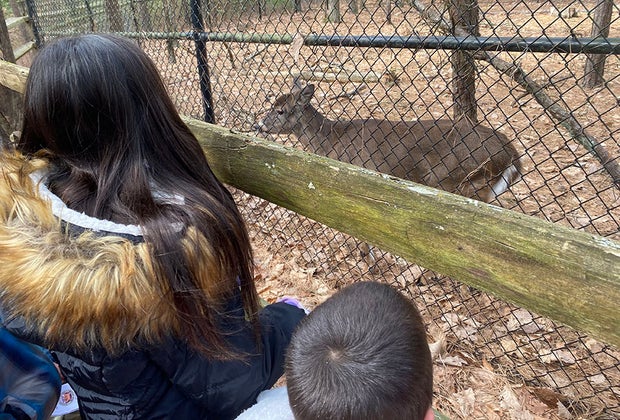 Best Things To Do at Cedar Run Wildlife Refuge