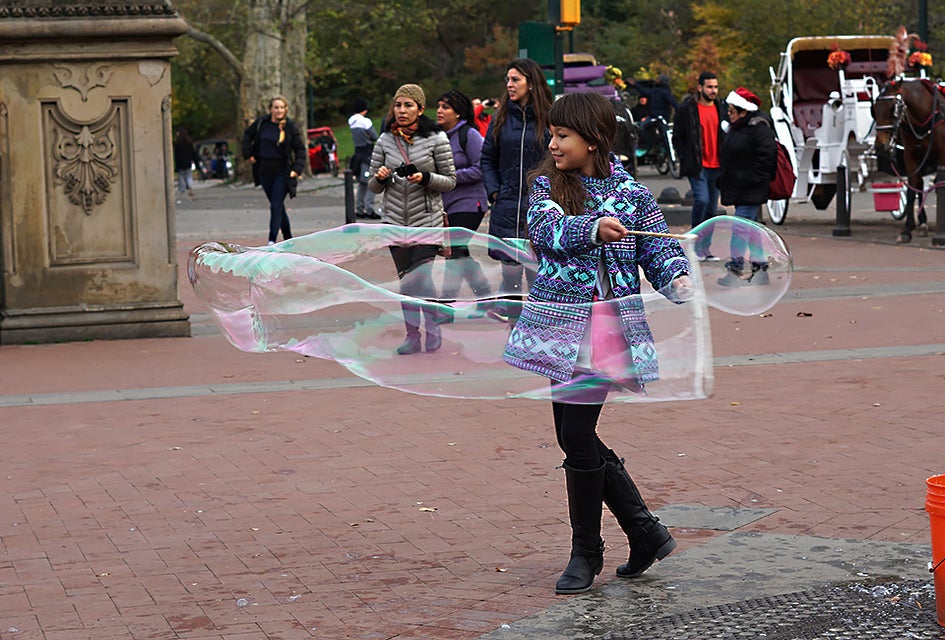 Central Park offers a respite from the busy streets of Manhattan. 