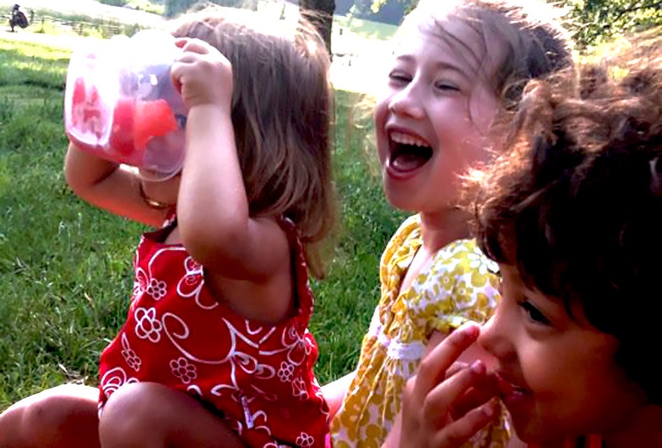 Set up a picnic in one of the huge meadows at Central Park. Photo by Jody Mercier