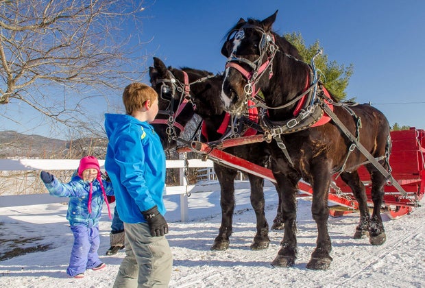 Image of children before a Christmas horse-drawn sleigh