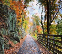Enjoy the easy walking paths and the beautiful foliage along the Chester Creek Trail. Photo courtesy of the Chester Creek Trail
