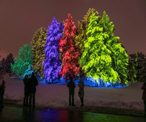 Don't miss Illumination at Morton Arboretum. Photo courtesy of the event. 