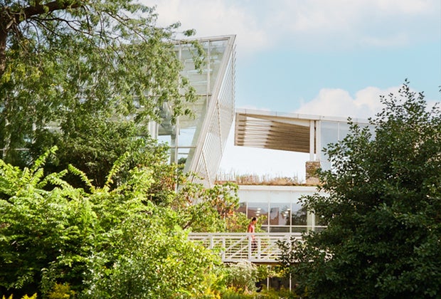 Self-Guided Walking Tours of Chicago with Kids Lincoln Park Peggy Notebaert Museum