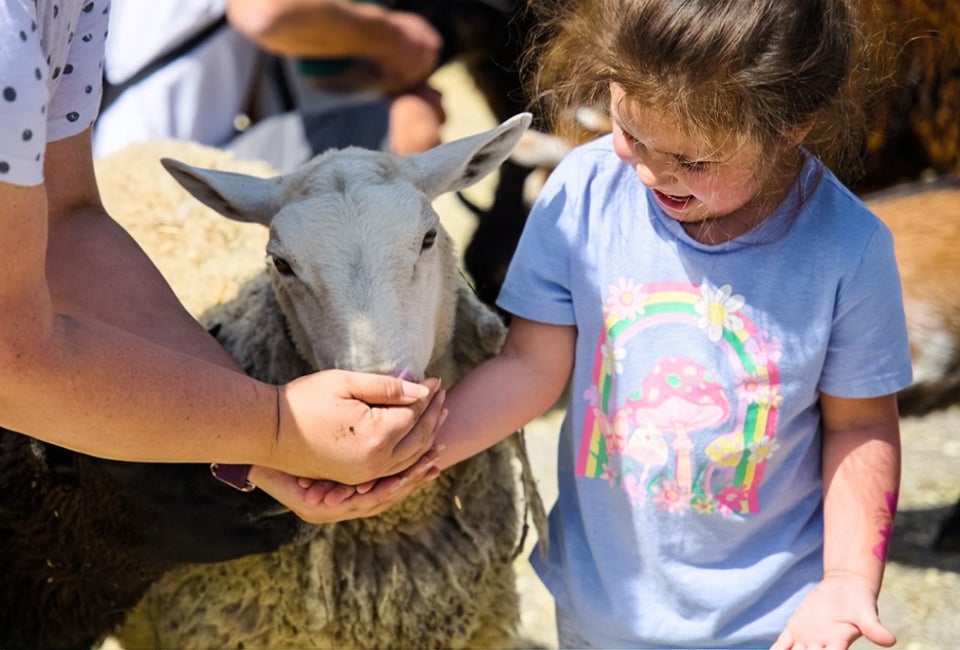 Spring Fun Fest. Event photo courtesy of  Parkway Bank Park