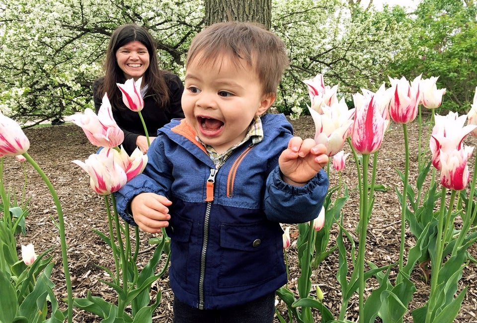 Our Chicago Calendar Editor, Maureen Wilkey, loves to visit the Lilac Festival on Mother's Day. 