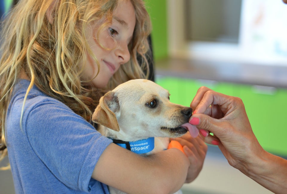 A little girl gets ready to take home a new forever friend.