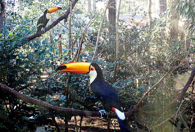 Riverbanks Zoo & Garden Columbia with Kids: 25 Best Things to Do in Columbia, SC