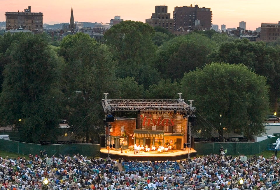 Shakespeare on the Common photo by Michael Fein Photography 
