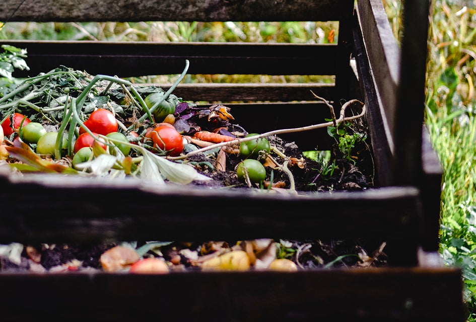 Did you know that compost actually shouldn't be smelly? Photo by Eva Bronzini