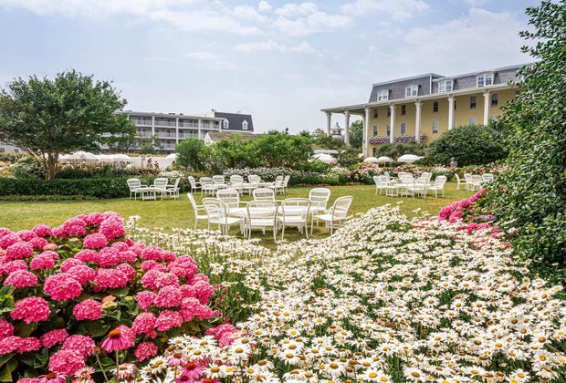 luch garden flowers and tables at congress hall hotel