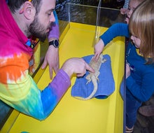On sensory-friendly days, kids can enjoy activities with a quieter, calmer touch. Photo courtesy of the Connecticut Science Center